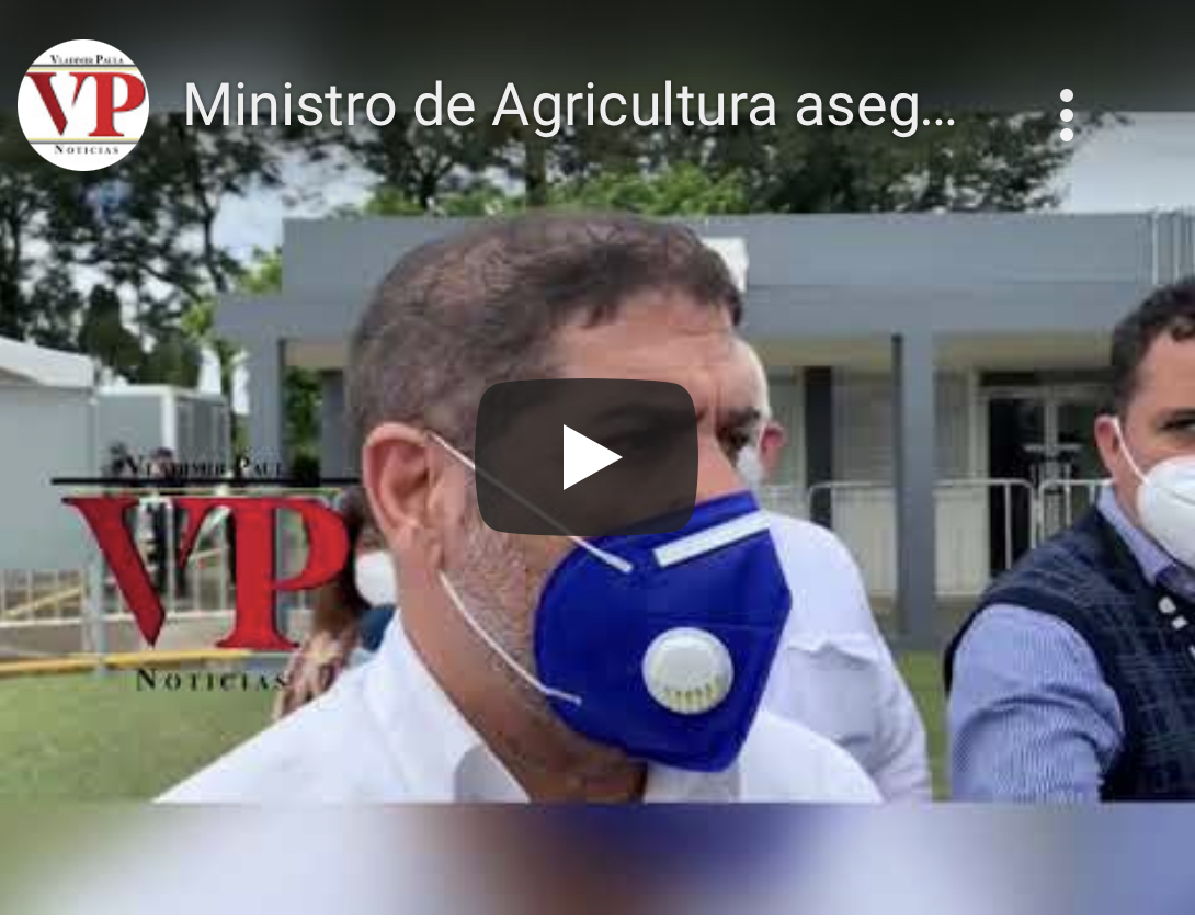 Ministro de Agricultura asegura se han estabilizado los precios del plátano