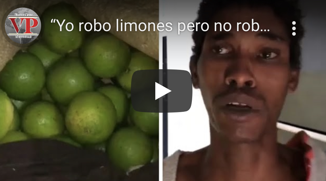 “Yo robo limones pero no robo chivos”