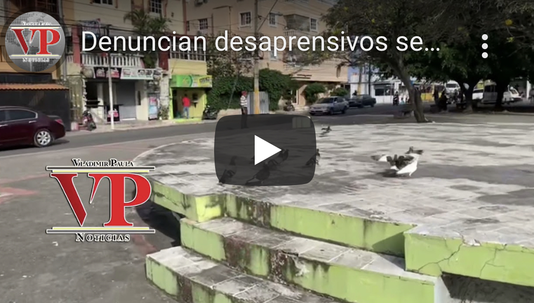 Denuncian desaprensivos se están comiendo las palomas del parque Jose Fco Peña Gomez SFM