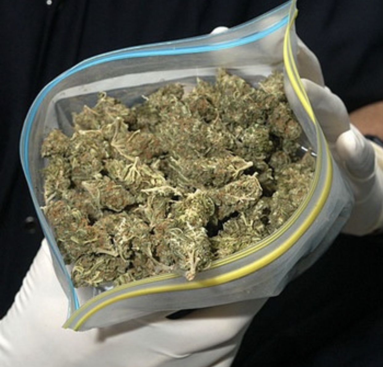 Tres meses de prisión preventiva a hombre detenido con 450 gramos de marihuana en Villa Tapia
