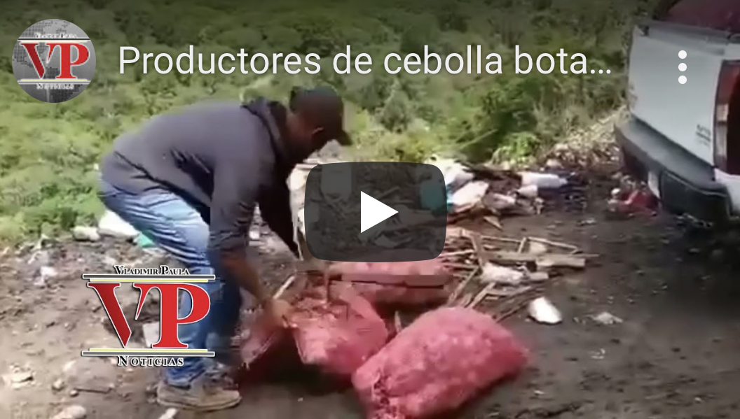 Productores de cebolla botan cosecha en protesta porque estas no se venden