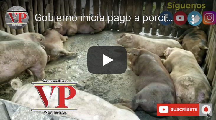 Gobierno inicia pago a porcicultores les han sacrificado cerdos en región la nordeste