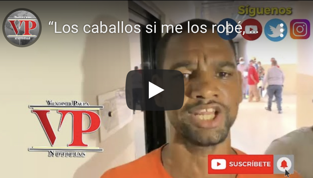 “Los caballos si me los robé, pero los plátanos y la barrica no” afirma acusado de múltiples robos en Cenoví