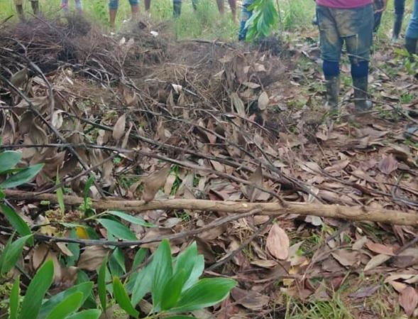 Haitiano mata joven y lo entierra en finca de Copeyito Río San Juan
