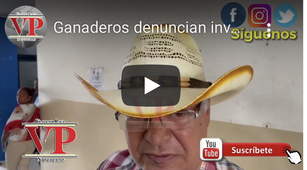 Ganaderos denuncian invasores vuelven a ocupar finca de su propiedad en Hatillo