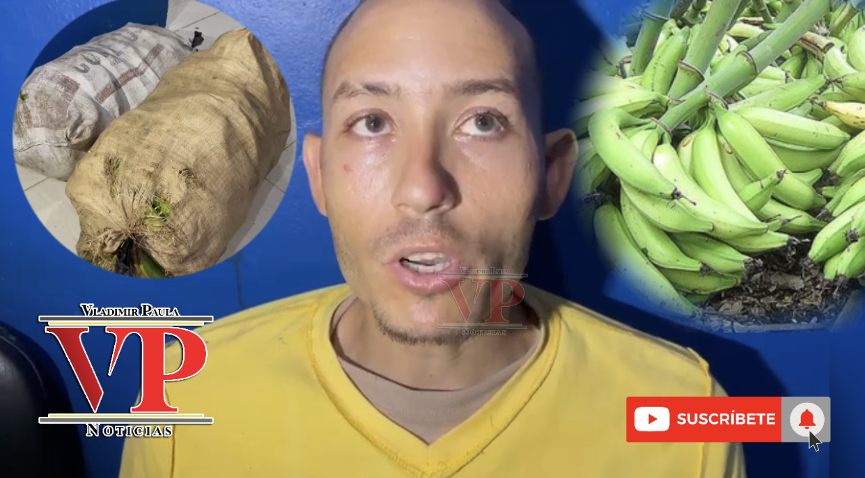 “Yo me llevé los plátanos que se robó otro, yo no soy ladrón” dice hombre en SFM