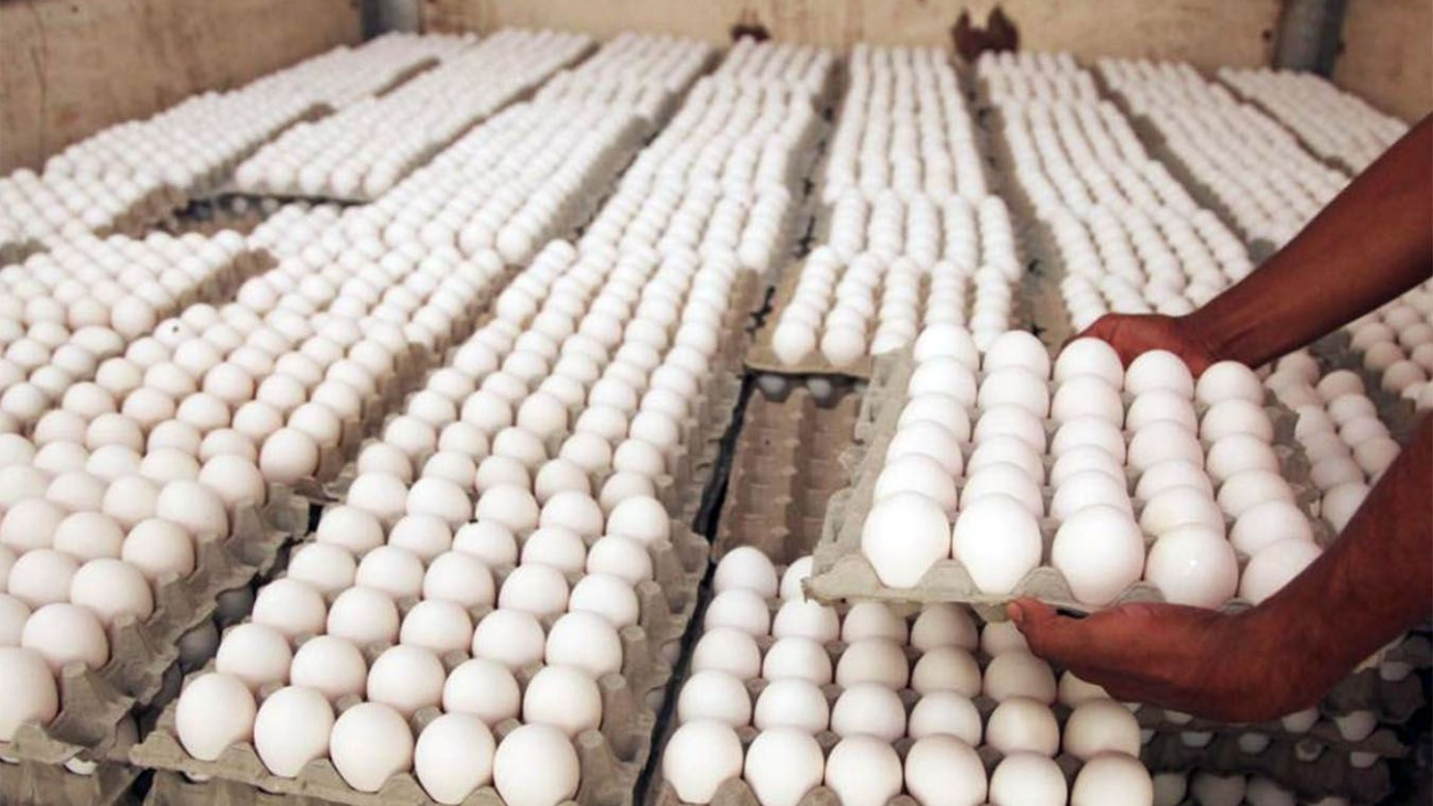 Productores de huevos reportan pérdidas económicas por cerca de mil millones a causa del cierre fronterizo