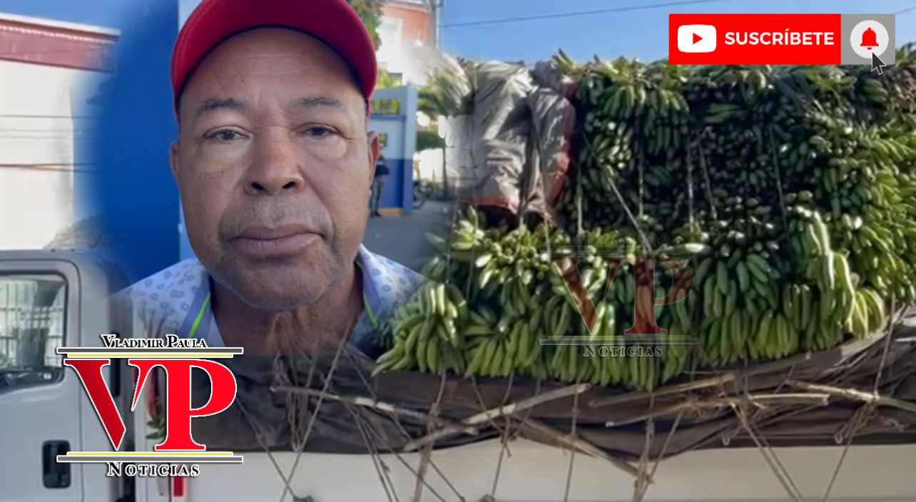 Cientos de plátanos incautados por la policía por lío entre los que dicen ser los dueños del terreno donde lo cosecharon