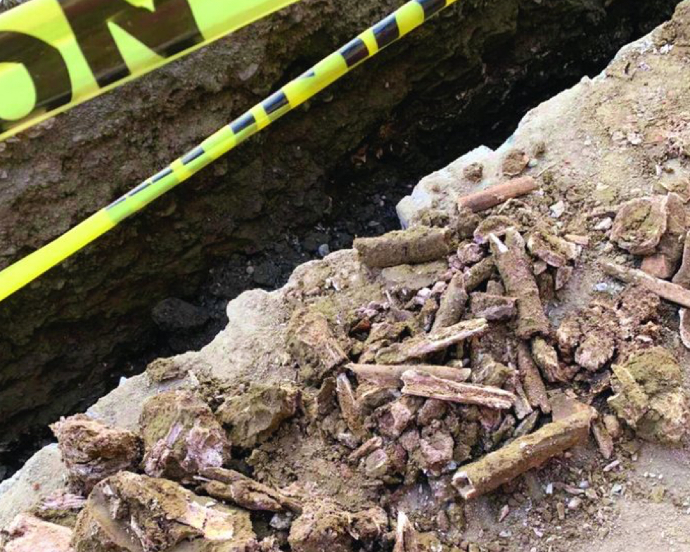 Hallan osamentas en Santiago que serían del siglo 18