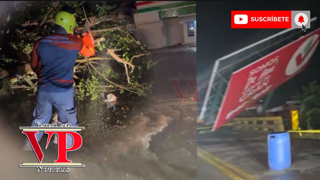 Mira lo que provocó un ventarrón en SFM y zonas aledañas