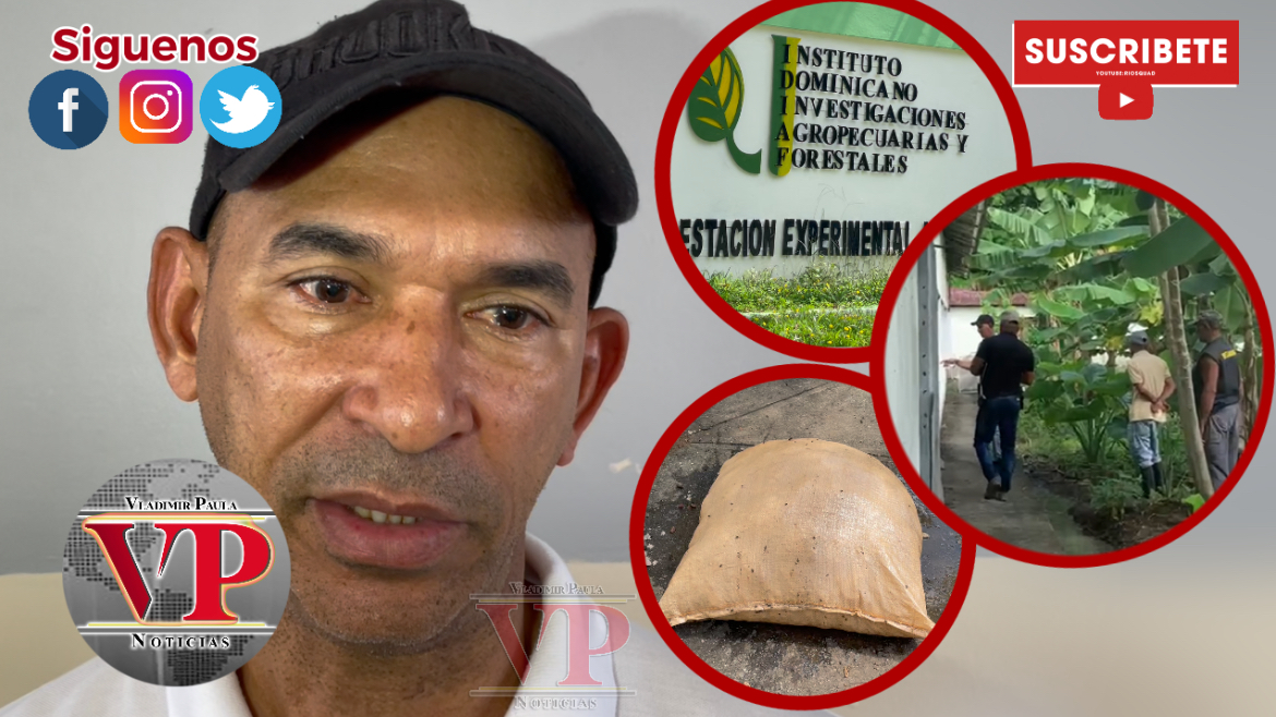 “Rompieron el almacén y se llevaron alrededor de siete quintales” reporta director Estación Experimental en SFM