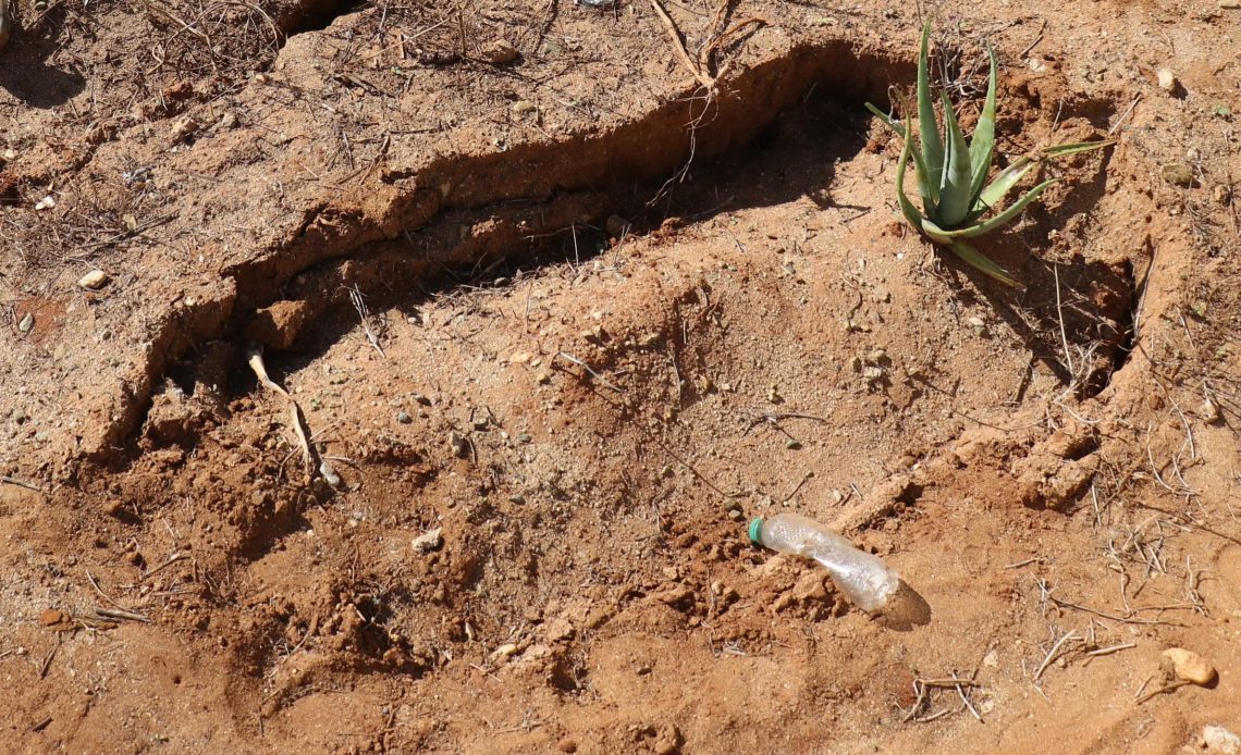 Denuncian fuerte hedor por entierros inadecuados de haitianos en Montecristi