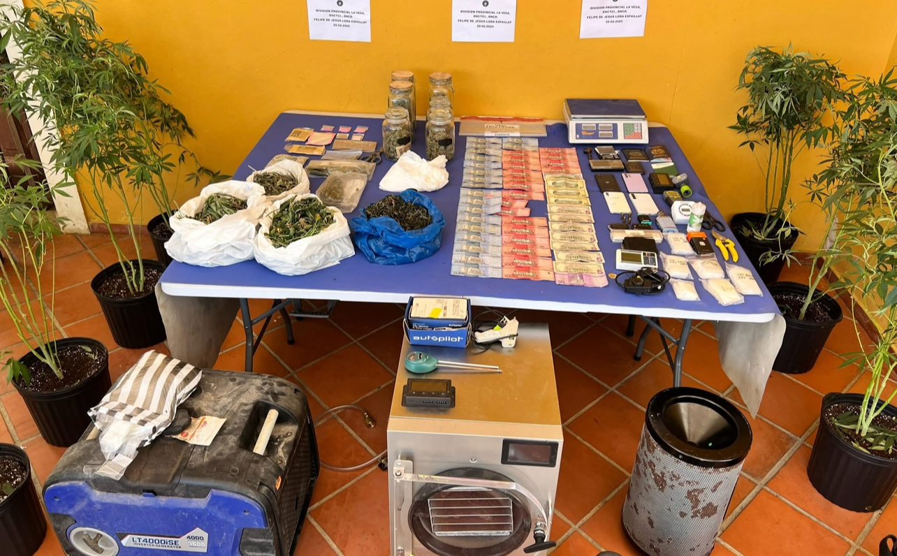 Detienen a hombre que utilizaba casa como vivero para cultivar marihuana en La Vega