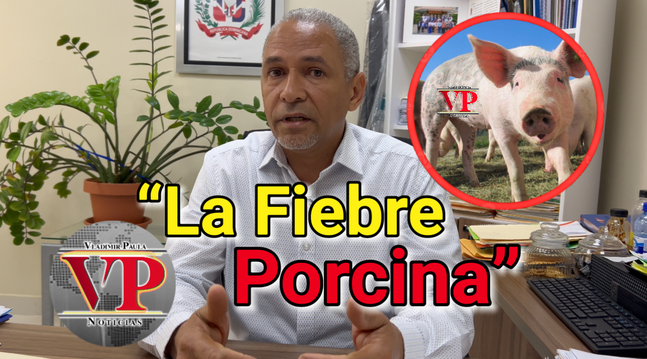 Director regional de Agricultura atribuye brotes de fiebre porcina a repoblación de cerdos
