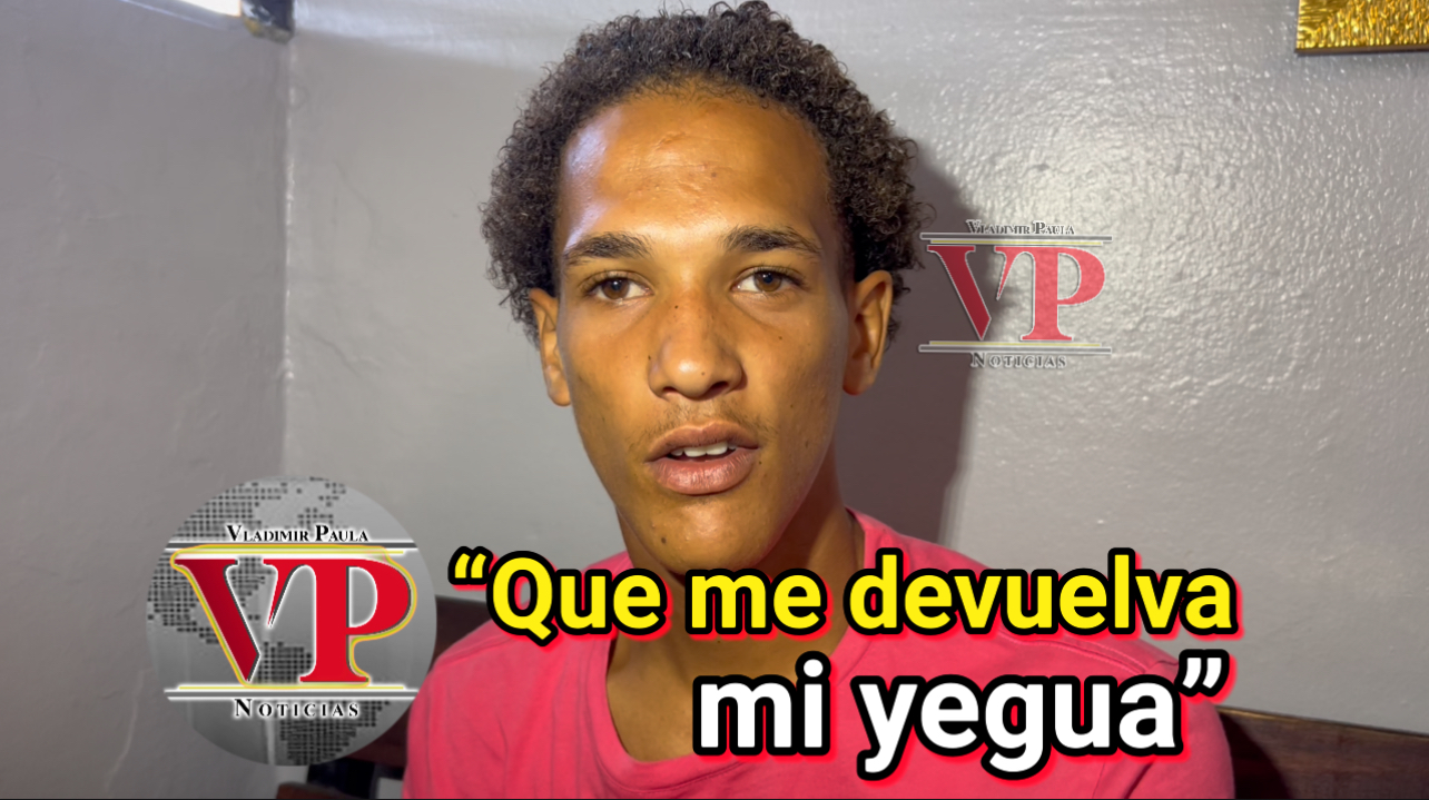 Joven denuncia robo de su yegua en sector Villa Verde de su yegua en SFM.