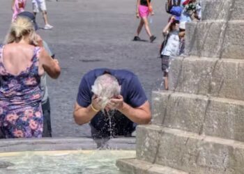 El calor mató a miles de personas en el 2024