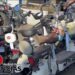 CERO PATINETAS ELÉCTRICAS EN SFM; Ayuntamiento no dará permiso para que estos negocios operen