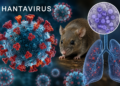 París afirma que la ciudadana francesa infectada por hantavirus en el Hondius está «grave»