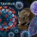 París afirma que la ciudadana francesa infectada por hantavirus en el Hondius está «grave»