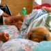 Leptospirosis deja 14 fallecidos y 179 casos confirmados en lo que va de 2026