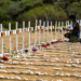 Venezuela sepulta más de 150 cuerpos sin identificar; cifra de víctimas sube a 3,342