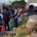 Encuentran hombre sin vida en el cruce de Maguá, municipio de Castillo