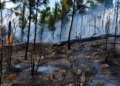 Incendios golpean Valle Nuevo y ponen nuevamente en evidencia los retos para llevar responsables ante la Justicia
