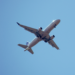 Un avión con rumbo a Boston desaparece en el Atlántico con seis personas a bordo