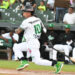 Estrellas castigan a Leones e inician la temporada con dos triunfos al hilo